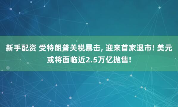 新手配资 受特朗普关税暴击, 迎来首家退市! 美元或将面临近2.5万亿抛售!