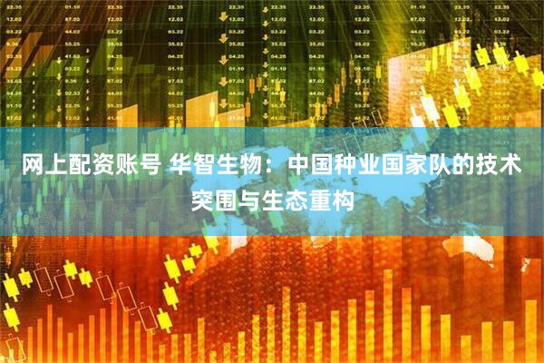 网上配资账号 华智生物：中国种业国家队的技术突围与生态重构