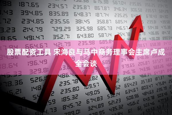 股票配资工具 宋海良与马中商务理事会主席卢成全会谈