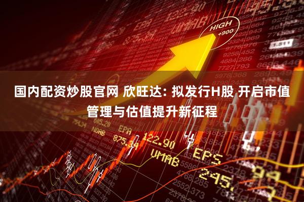 国内配资炒股官网 欣旺达: 拟发行H股 开启市值管理与估值提升新征程