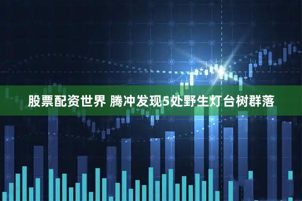 股票配资世界 腾冲发现5处野生灯台树群落